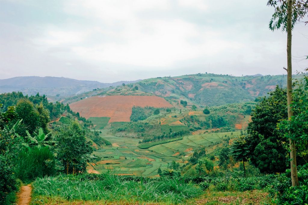 Burundi - Yagikawa Coop - Bourbon