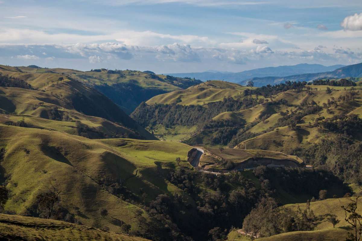 Colombia Decaf