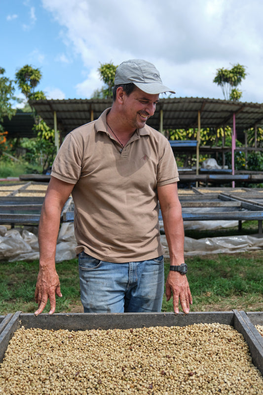 Costa Rica - Finca El Venado - SL-28 Honey