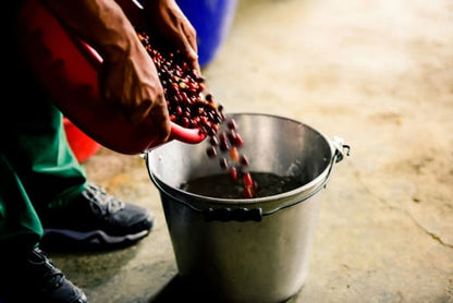 Colombia - Manos Juntas Micromill - Natural
