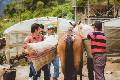 Colombia - Manos Juntas Micromill - Natural
