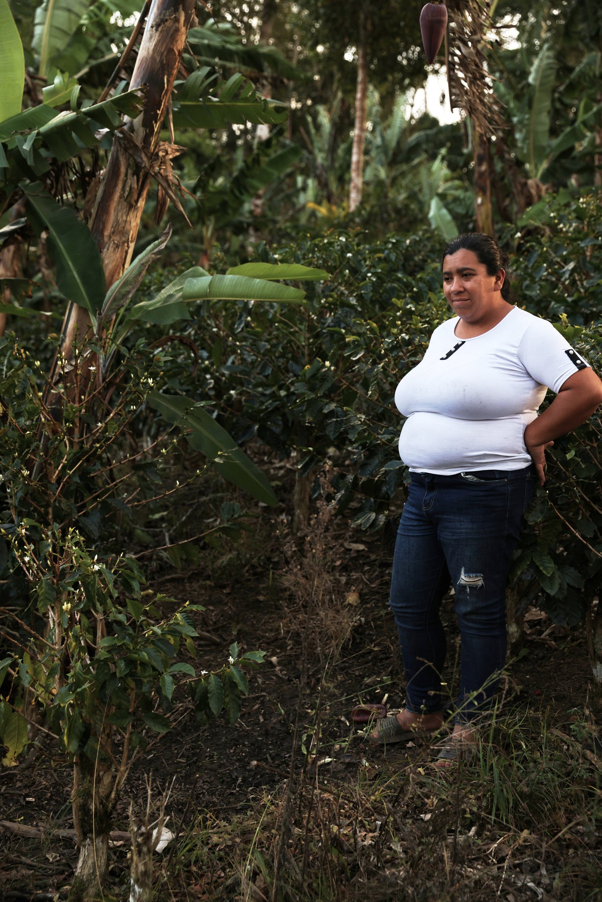 Nicaragua - Tierra Madre - Women Producers